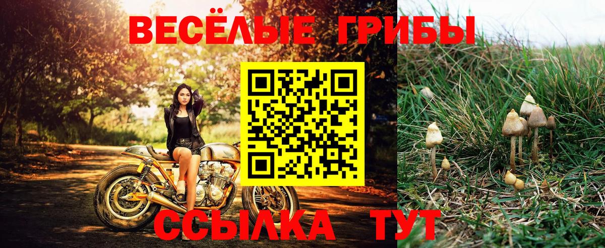 Рубцовск  Псилоцибиновые грибы мухоморы  Вход с VPN 